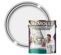 Mr Mould - Anti-Mould Paint - Premium Colour & Protection For Interior Walls & Ceilings - Light Grey - 1L