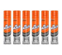 Mr Muscle Oven Cleaner 300ml Case of 6