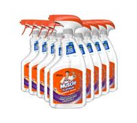 Mr Muscle Platinum Shower Shine Sprays 500Ml - Pack Of 10