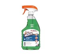 Mr Muscle Window and Glass Cleaner 750ml