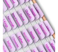 Mr. Pen- Bible Tabs, 75 Tabs, Dusty Lilac, Purple Foil Embossed Lettering, Laminated Bible Tabs for Women and Men, Bible Tabs for Study Bible Index Tabs, Bible Book Tabs, Bible Labels Tabs