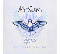 Mr Sam - Lyteo Interpretations