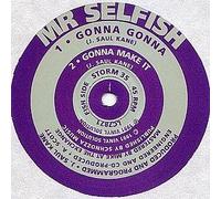 Mr Selfish - Gonna Gonna / Gonna Make It [Vinyl Single]