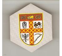 Mr Softee "Stoke City" football badge card