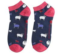 Mr Sparrow Low Cut Trainer Socks Breathable Bamboo Blend Size 7 to 11 (Sheep Family Blue)