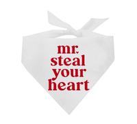 Mr. Steal Your Heart Valentine's Day Dog Bandana (White, OS 1198)
