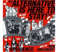 Mr T Experience - Alternative Is Here to Stay