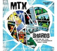 Mr T Experience - Shards Vol. 1 [VINYL]