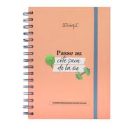 Mr. Wonderful - Planning for a healthy life - Goes to the healthy side of life - 192 pages - 4 sheets of stickers - 12 monthly planners