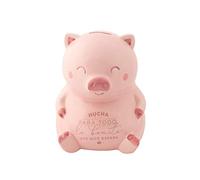 Mr. Wonderful WOA10323ES Piggy Bank for Everything That Expects Pink