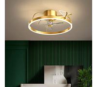 MRBVAOXVD Chandeliers,Led Nordic Diniroom Ceilifan Light Without Blades, Modern Light with Remote Control,D Bedroom Ceilifan with Light by Interestilife/D/55Cm