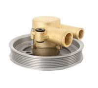 Mreryyse Raw Sea Water Pump Replacement for Volvo Penta 4.3 5.0 5.7 V8 V6 21212799/3812519, Boadt Raw Water Pumps, Inlet Port: 1& Outlet Port: 1-1/4", Golden+Silver