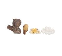 MRSTORY Snail Growth Cycle Model Lifelike Life Cycle Toy Educational Kids Learning Nature Science Plastic Material Show
