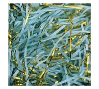 MRVAKDYDI Glitter Shredded Tissue Paper, 2-Colour Filling Material Gift Ribbon with Gold Threads Shredded Paper(Lightblue,500g)