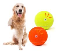 MRYCZ FYRHD Tennis Ball Dog Toys 2 Pack - 4-Inch Durable and Safe Dog Ball, Sound Output from The Large Tennis Balls for Dogs with Mesh Bag, Perfect for Indoor and Outdoor Play