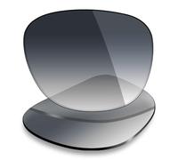 Mryok UV400 Replacement Lenses for Ray-Ban Erika RB4171 54mm - Grey Gradient Tint