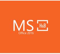 MS Office 2016 Home and Business OEM Key