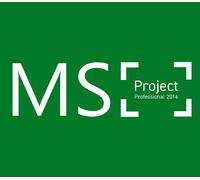 MS Project Professional 2016 CD Key