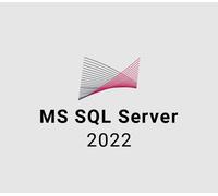 MS SQL Server 2022 EU CD Key (5 Users)