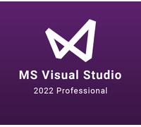 MS Visual Studio 2022 Professional EU CD Key