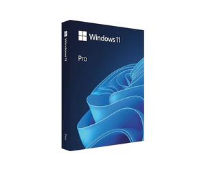 MS Windows 11 Professional