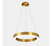 MSGIRVLZL Lampe En Acier Polie De Cercle De Salon De Lustres D'Anneaux De Combinaison D'Éclairage De Lustre Mené Moderne, Lumières Réglables De Fil De Suspension De Taille Pour La Villa D'Hôtel De Res