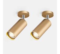 MSGIRVLZL Lot De 2 Projecteurs Anglo Gu10 Oro Registrabile Della Lampada Da Parete, Superficiale Led Montato 3000K / 4000K Soffitto Accento Lampada, for Galleria Gabinetto Di Casa Decor/Warm Light/12W