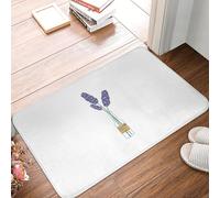 MSHEEFG I Am Only Talking To My Pomeranian Doormat Anti-skid Super Absorbent Bathroom Floor Mats Home Entrance Rugs Carpet Footpad 40 * 60 CM