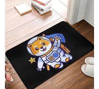 MSHEEFG phd in progress Non-slip Doormat Floor Mat Antiwear Carpet Rug for Kitchen Entrance Home Balcony Footpad Mats 40 * 60 CM