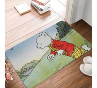 MSHEEFG Waterproof Dirt Trapper Mat Bathroom Mat Rupert Bear Rug Home Doormat Living Room Carpet Balcony 40 * 60 CM