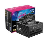 MSI MPG A1250GS (2025) 1250W Full Modular Compact 80+ Gold PCIE 5.1 Qu
