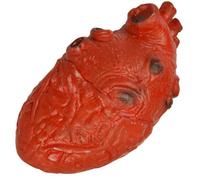 Mskmnkot Artificial Heart Prop Simulated Heart Prop Halloween Bloody Simulated Body Parts Scary Organ for Haunted House Decorations Halloween