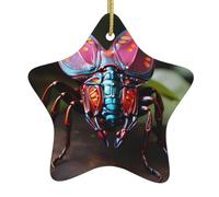 MSRHIUEF Strange Insects Printing Christmas Ceramic Star Pendant Ornament Easy to Hang, Very Suitable for Decorating Christmas Trees
