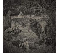 Msw - Obliviosus