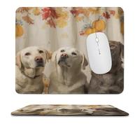 MSYKANIX Realistic Colorful Dog Soft Stitched Edge Mouse Pad,Cute Rustic Pet Labrador Fall Thanksgiving Pumpkins Plant Leaves Non-Slip Mousepad for Office,Home 25x30 cm