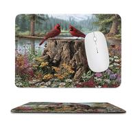 MSYKANIX Realistic Cute Bird Non-Slip Mousepad,Colorful Rustic Spring Forest Red Birds Pine Trees Floral Daisies with Most Types of Mouse,Stitched Edges for Decoration 20x24 cm