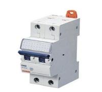 MT60 LS SCHALTER D10 A 2P 6 KA 2TE