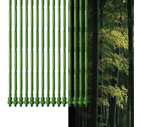 MTADSBKFP Strands Retro Bead Curtain, Beaded Bamboo Curtain Multicolor Room Divider No Drilling Fly Screen Multiple Sizes(Grün,80x179cm(WxH))