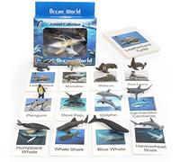 Mtbricey 24PCS Sea Animal Figures Toy with Introducing Flashcards in a Box Realistic Sea Creatures Bath Toys Learning Gifts for Kids Boys Girls Marine Life Artic Animals for Kids