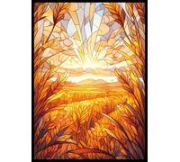 MTG Card Sleeves -Stained Glass Plains- Ultra Clear Front & Matte Finish Back, 100 Count Standard Size TCG Sleeves, Matte Art Sleeves for Magic The Gathering
