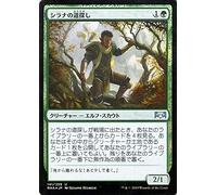 MTG Magic: the Gathering (Foil Uncommon) Ravnica Devotion (RNA-141) | Japanese Creature Green