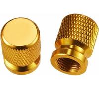 MTKXZHAO 2PCS Motorcycle Universal for all series Wheel Tire Valve Caps Tyre Stem Covers For YAMAHA Super Tenere Tenere1200 1200 XT/Z 2012-2020 Motorcycle Airdust Waterproof Accessories