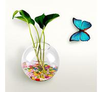 Mtlavishness Hanging Glass Vase for Hydroponic Plants 5.31x5.31x1.97 Inch Transparent Flower Container for Home Decor Wall Mounted Planter for Indoor Garden (Half Round)