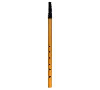 Mtlavishness Irish Whistle C Key 6 Hole Flute Ideal for Student Beginners Intermediates and Experts Play a Wide Variety of Music with Mellow Melodious Sound Portable and (Gold)