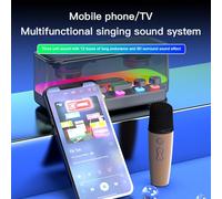 Mtlavishness Karaoke Machine With Two Wireless Microphones Portable Bluetooth Speaker High Volume Adjustable Super Bass Diaphragm Ideal For Outdoor Home Party And Livestream