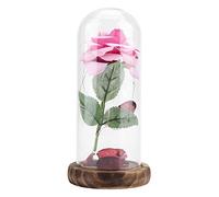 Mtlavishness Preserved Rose Flower With LED Light And Glass Cover Romantic Wooden Base永生花Decoration Perfect Valentines Day Wedding Anniversary Birthday Gift For Her Pink Eternal (Purple)