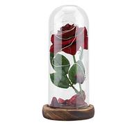 Mtlavishness Preserved Rose Flower With LED Light And Glass Cover Romantic Wooden Base永生花Decoration Perfect Valentines Day Wedding Anniversary Birthday Gift For Her Pink Eternal (Red)