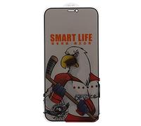 Mtlavishness Tempered Glass Anti Peep Screen Protector for 12 and 12 Pro Effectively Prevents Others from Peeping Secret Information 9H Hardness Durable Explosion Proof and