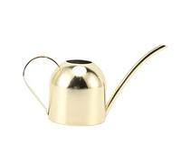 Mtlavishness Watering Can Gold 215 x 9 x 125cm Stainless Steel Watering Pot | Sprinkling Pot,Beautiful and Practical, Resistant Stainless,Large Can Capacity