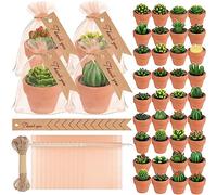 MTLEE 48 Pcs Succulent Cactus Candles Set Mini Tealight Candles Baby Shower Cactus Decorations Plant Candle with Mini Terracotta Clay Gift Tags Organza Bags for Birthday Wedding Party Favors